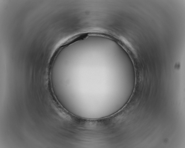 X0000090921364200708201756