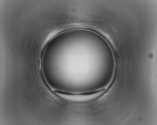 X0000090921365200708201756