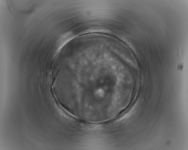 X0000090921369200708201756