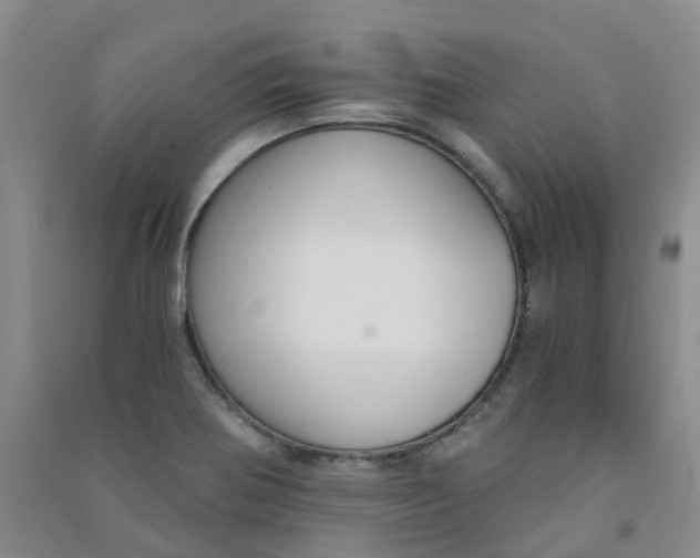 X0000090921370200708201756