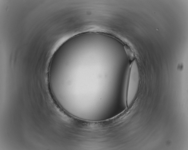 X0000090921375200708201756