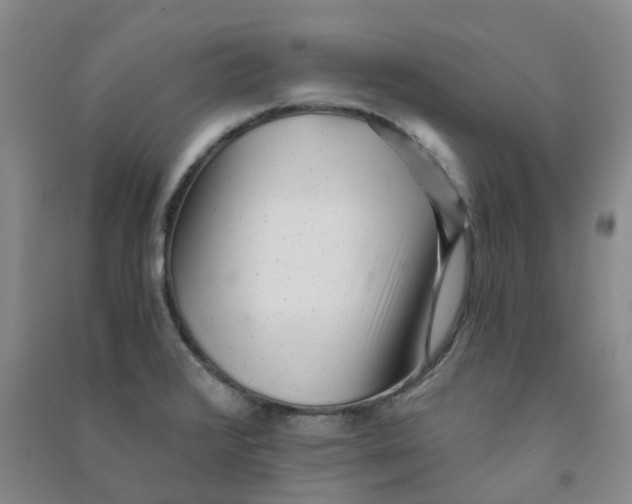 X0000090921376200708201756