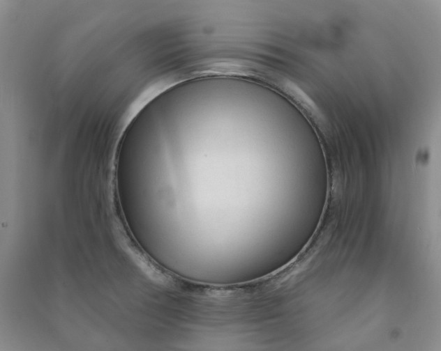 X0000090921378200708201756