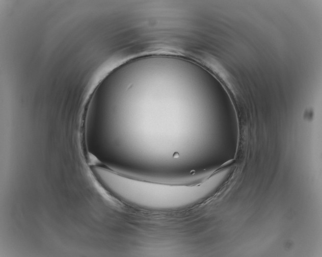 X0000090921379200708201756