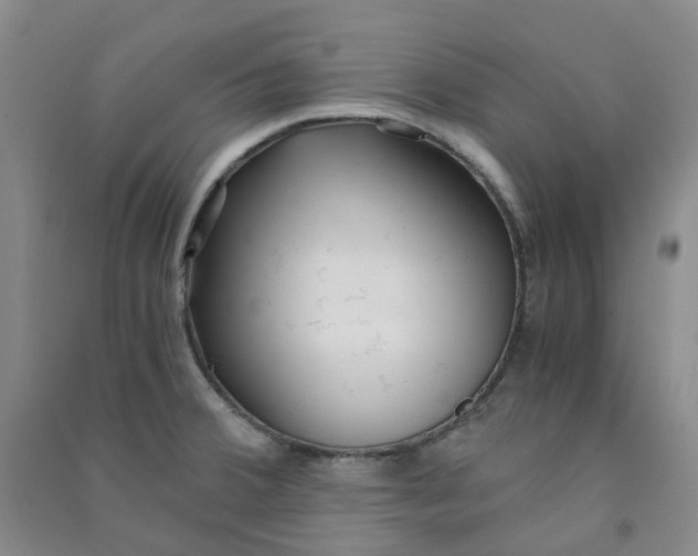 X0000090921380200708201756