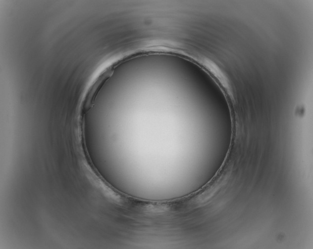 X0000090921384200708201756