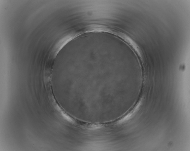 X0000090921385200708201756