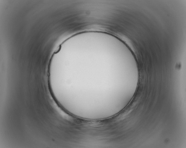 X0000090921387200708201756