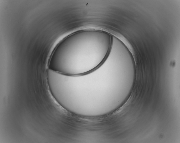 X0000090921388200708201755