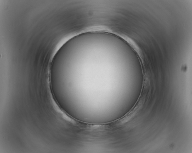 X0000090921390200708201755