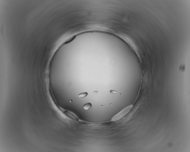 X0000090921391200708201755