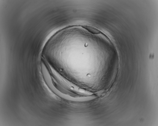 X0000090921392200708201755