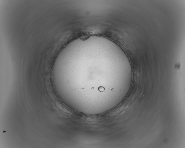 X0000090921393200708201754