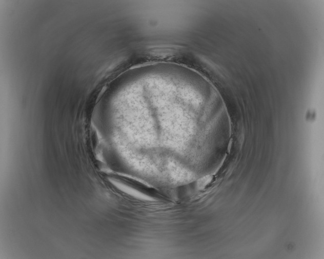 X0000090921394200708201755