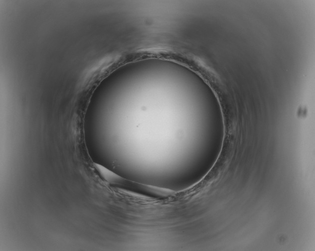 X0000090921398200708201755