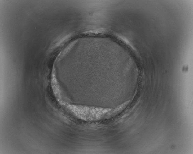 X0000090921399200708201755