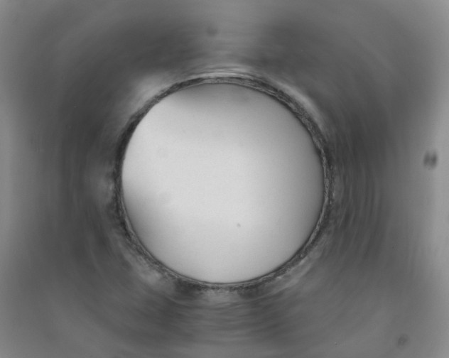 X0000090921407200708201755