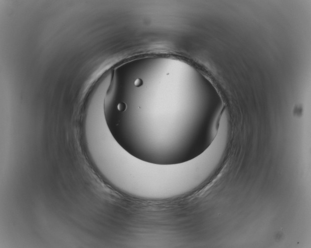 X0000090921410200708201755