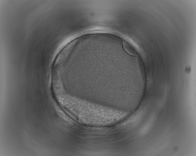 X0000090921413200708201755