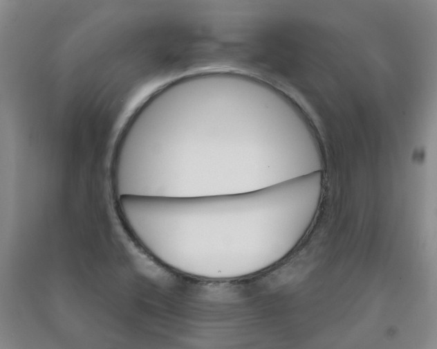 X0000090921416200708201755