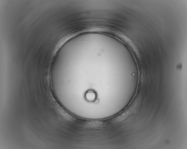 X0000090921417200708201755