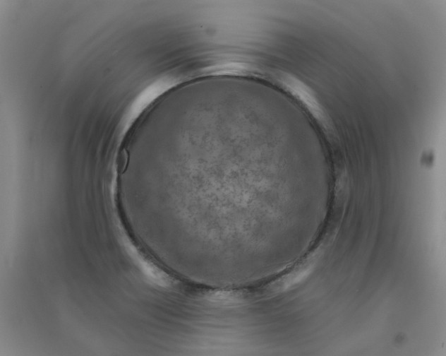 X0000090921418200708201755