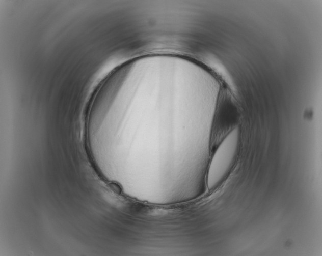 X0000090921419200708201755