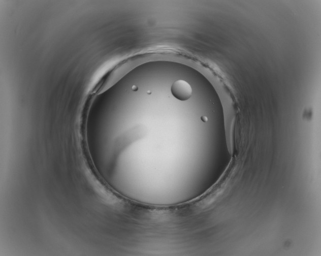 X0000090921422200708201755