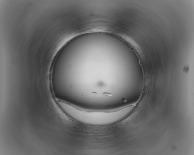 X0000090921423200708201755