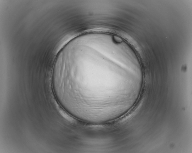 X0000090921425200708201755