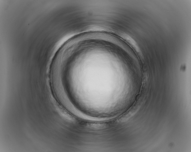 X0000090921427200708201755