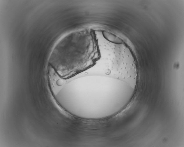 X0000090921429200708201755