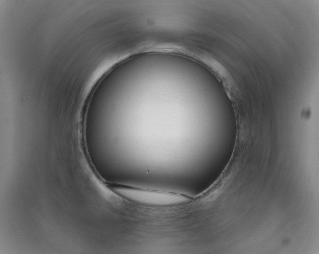 X0000090921430200708201755