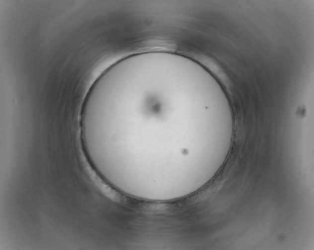 X0000090921431200708201755