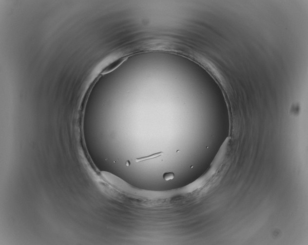 X0000090921434200708201755