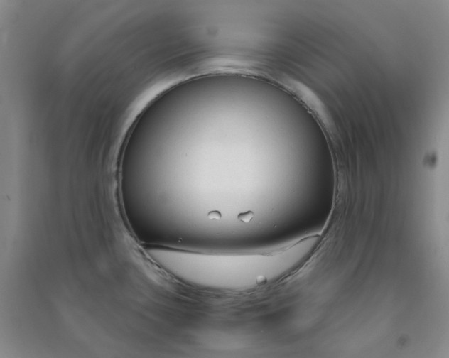 X0000090921435200708201755