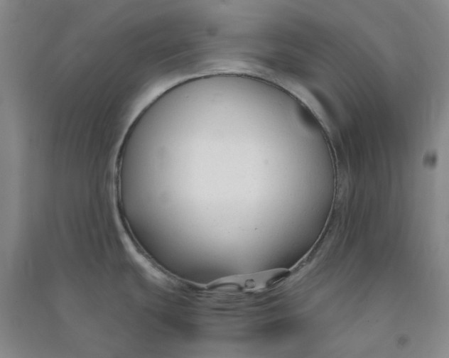 X0000090921439200708201755