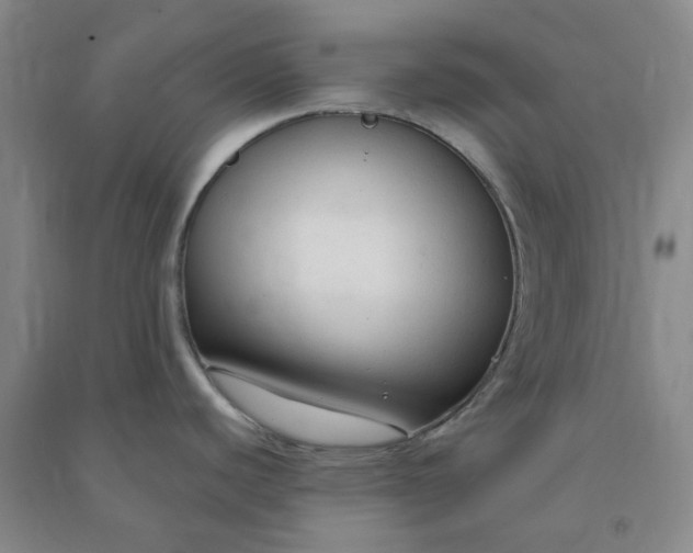 X0000090921440200708201755