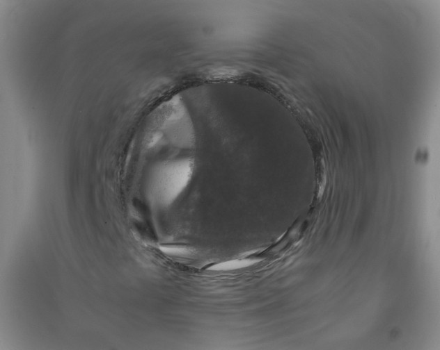 X0000090921441200708201754