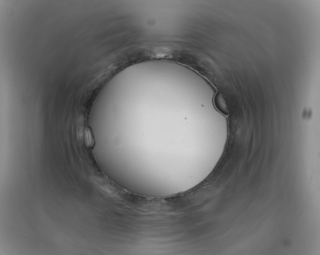 X0000090921442200708201754