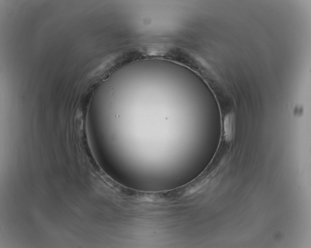 X0000090921443200708201754