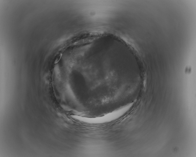 X0000090921445200708201754