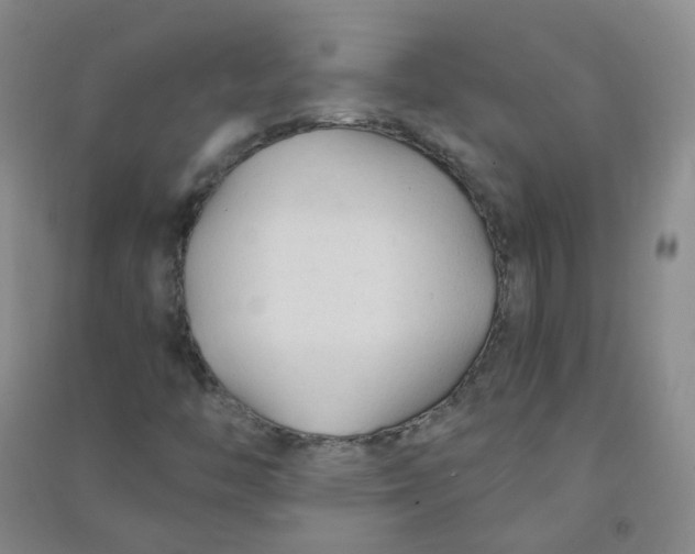 X0000090921446200708201754