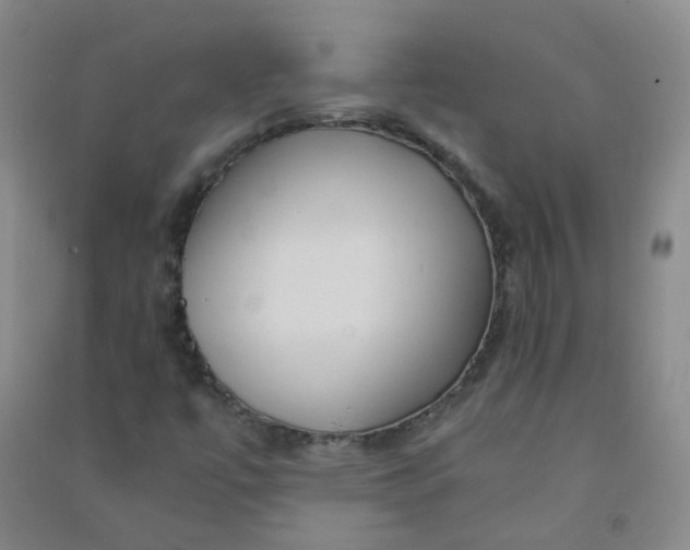 X0000090921447200708201754