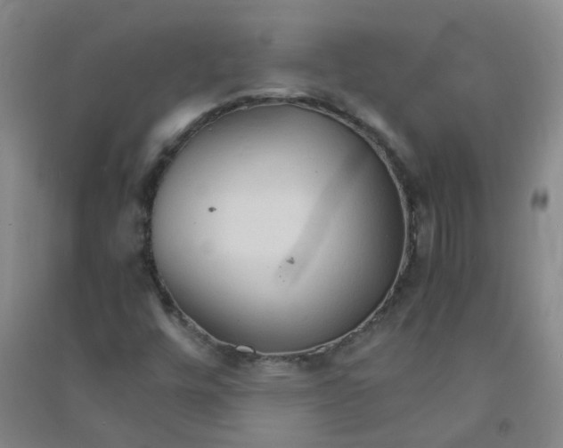 X0000090921448200708201754