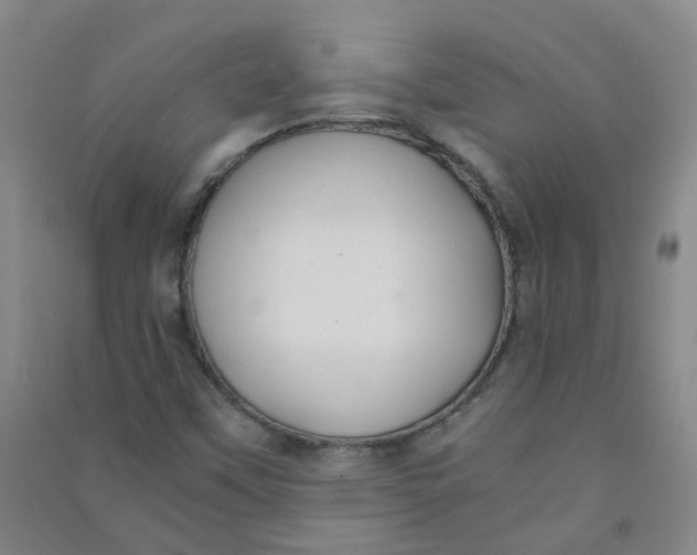 X0000090921451200708201754