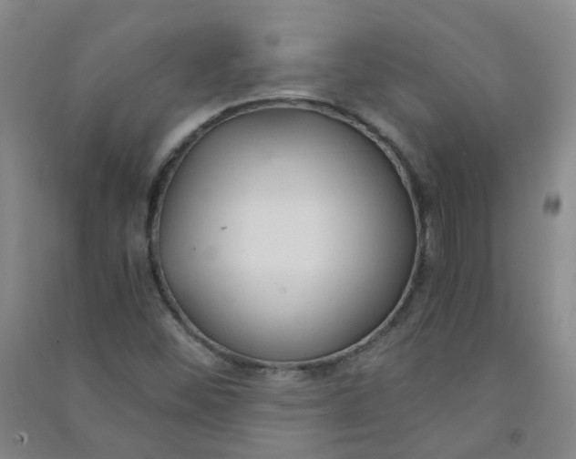 X0000090921452200708201754