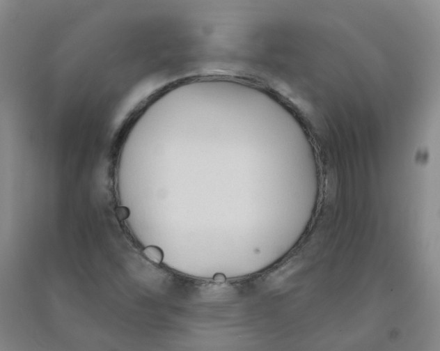 X0000090921454200708201754