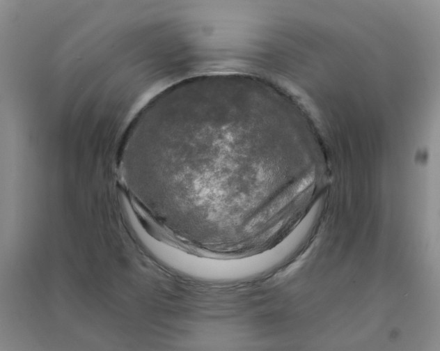 X0000090921457200708201754