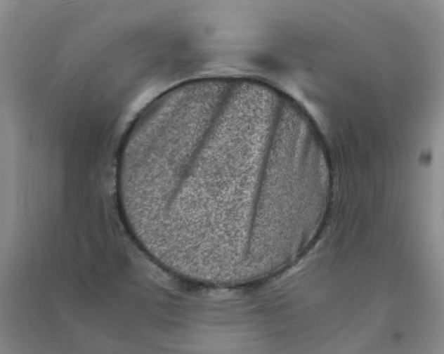 X0000090921459200708201754